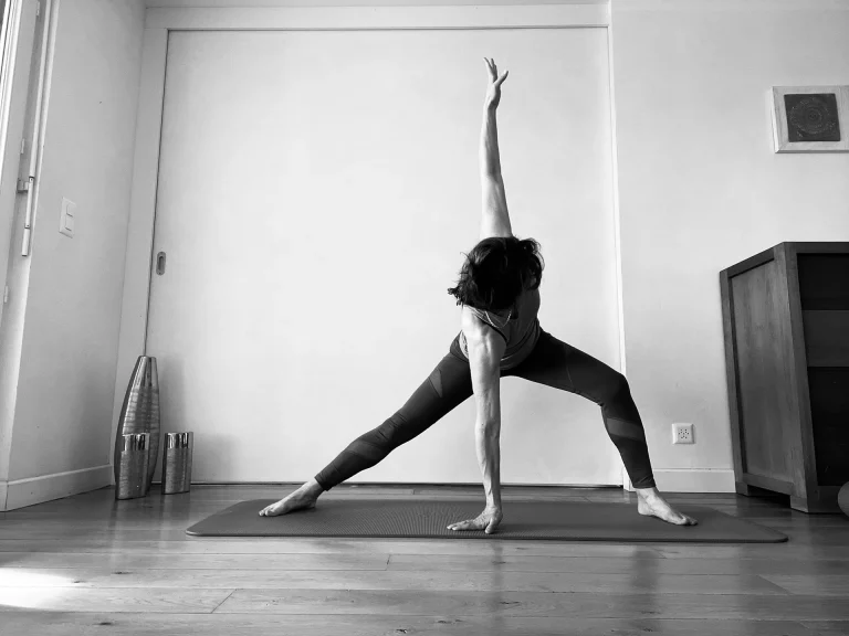 Les 10 principes du Garuda